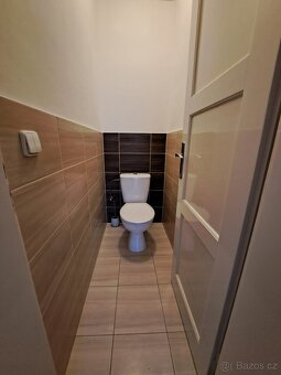 Pronájem bytu na Klíši 2+1 63 m² - 6
