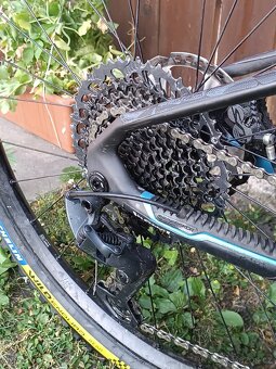 Monraker Foxy RR 2022 - 6