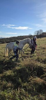 Letošní hřebeček - 6