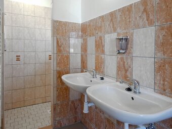 Pronájem haly, sklad, výroba, 337 m, Ostrava - 6