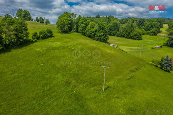 Prodej louky, 3867 m², Zlatá Olešnice - 6