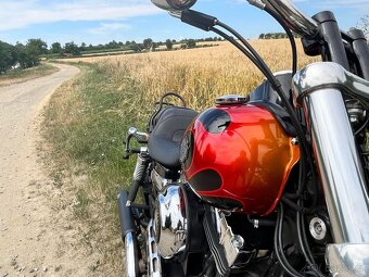 Harley Davidson FXDWG Dyna Wide Glide, CZ, 2012 - 6