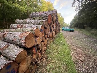🔥 Palivové dřevo – měkké od 900 Kč, bříza, tvrdé 🔥 - 6