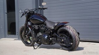 2023 harley davidson Softail FXST - 6