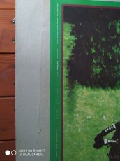 Originální nástěnné plakáty z 80. let 20. století - KONĚ - 6