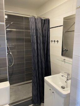 Pronajmu byt 1+1 ve Veselí nad Moravou - 6