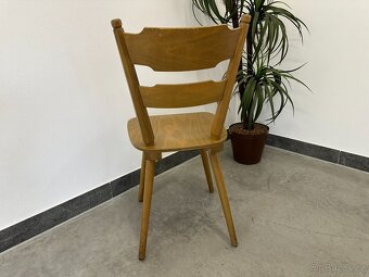 172 PROFI restaurační židle Gastro - 6