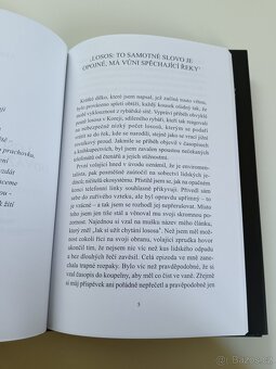 Losos, který se odvážil vyskočit výš - 6