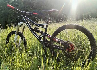 Specialized status 1 - 6
