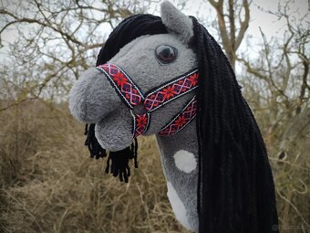 Hobby horse - 6