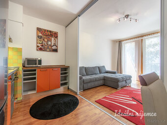 Pronájem bytu 1+kk, Třeboňská, Michle, 19500 Kč/měs, 43 m2 - 6
