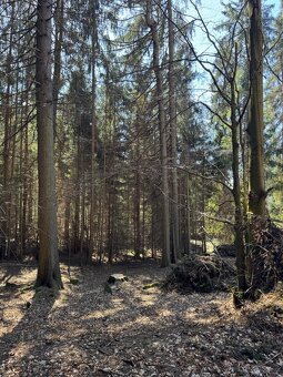 Prodám pozemky v k.ú. Horní Bolíkov - 6