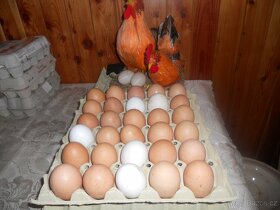 Domácí vajíčka - 6