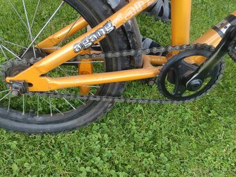 Kolo 16" a tandem Follow me - 6