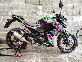 Kawasaki Z 300 - 6
