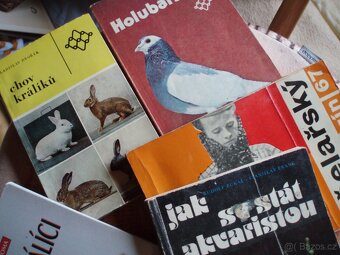 knihy pro chovatele-králíci,holuby,ryby,papoušci,psi,kočky - 6
