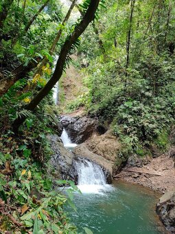 Farma Kostarika Golfito - 6