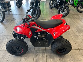 CF Moto Gladiator X110 LE 2026 - 6