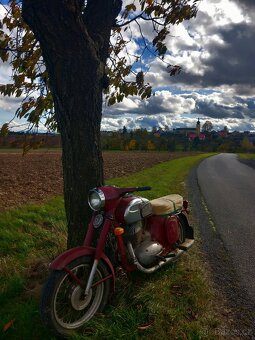 Jawa 250 typ 559 panelka - 6