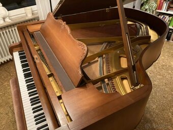 Schimmelův klavír (Chippendale) - 6