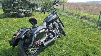 Harley-Davidson Street Bob - 6