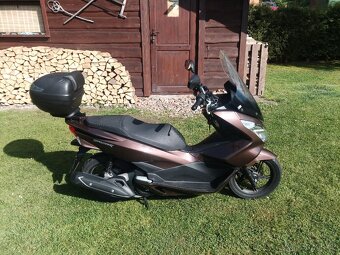 Honda pcx 125 - 6