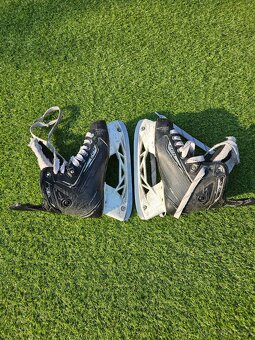 Hokejové brusle CCM vel. 36,5 cm - 6