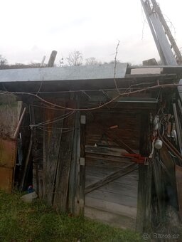 Pronájem vinohradu Bzenec - Novosady - 6
