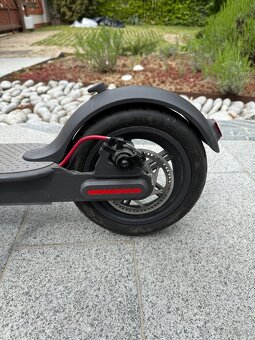 Xiaomi M365 - 6