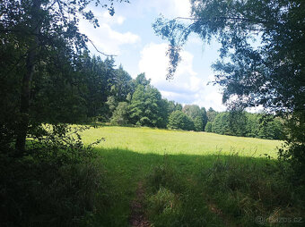 Zemědělská půda Popelín - Jindřichův Hradec - 6