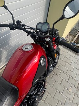 Benelli Leoncino 500 - 6