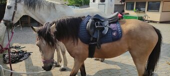 Skokové pony sedlo - 6