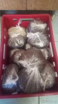 selata a prasata - 6