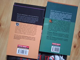 komiks Sigmund Freud Dobrodružství psychoanalýzy - 6