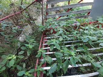 Sběrací vůz Pöttinger Kadet LW14 - 6