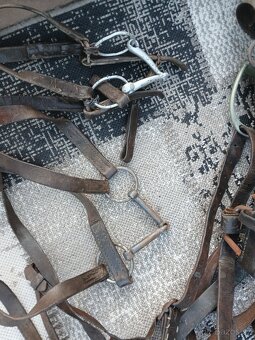 Potřeby pro koňe - 6