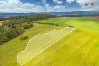 Prodej louky, 14061 m², Spálené Poříčí - 6