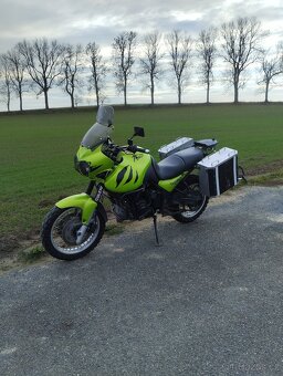 Triumph Tiger 955i - 6