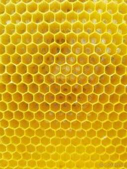 Včelí oddělky Langstroth 2/3, 6 rámků, 2026 - 6