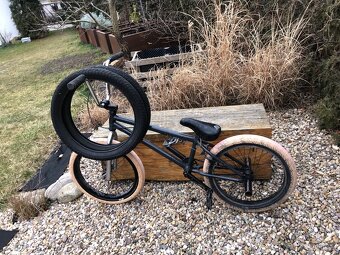 Mongoose kolo - 6