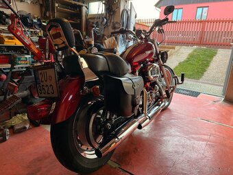 HARLEY XL1200C SPORTSTER - 6