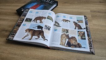 Krásná encyklopedie ZVÍŘATA, Knižní klub - 6