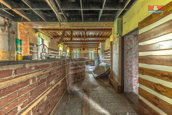 Prodej restaurace, stravování, 500 m², Plavy - 6
