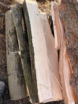 Palivo pro rok:2025 -2026 - 6