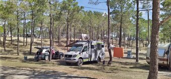 Mercedes Benz sprinter 4x4 519CDI - 6