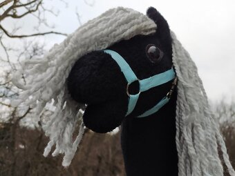 Hobby horse - 6