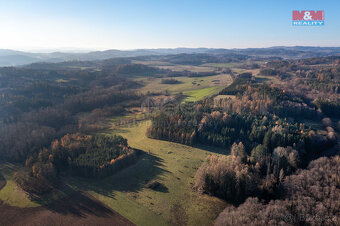 Prodej lesa, 25838 m², Nalžovské Hory - 6