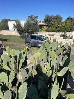 Krásný oplocený pozemek 600 m² se studnou jen 700 m od pláže - 6