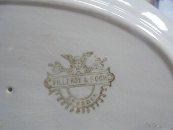 Prodám cibulák - 6