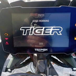 Triumph Tiger 900 rallye Pro - 6